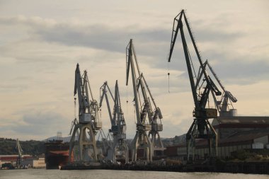 Bilbao nehrinde turnalar