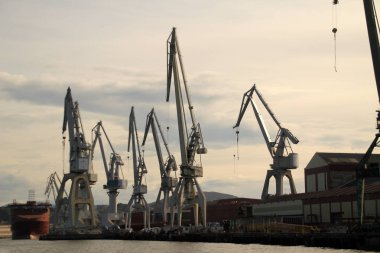 Bilbao nehrinde turnalar