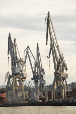 Bilbao nehrinde turnalar