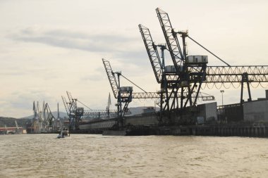 Bilbao nehrinde turnalar