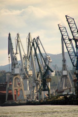 Bilbao nehrinde turnalar