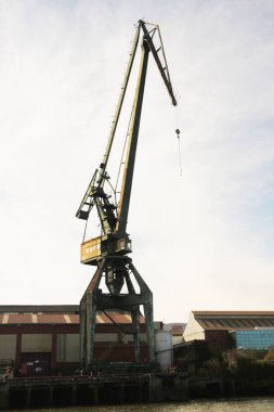 Turnalar Bilbao nehrinde
