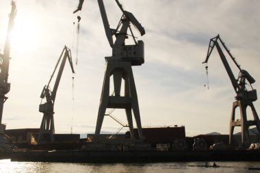 Turnalar Bilbao nehrinde