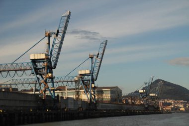 Turnalar Bilbao nehrinde