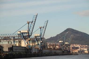 Turnalar Bilbao nehrinde