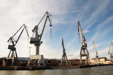 Turnalar Bilbao nehrinde