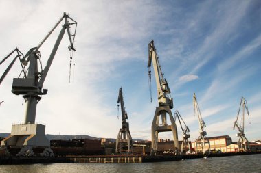 Turnalar Bilbao nehrinde