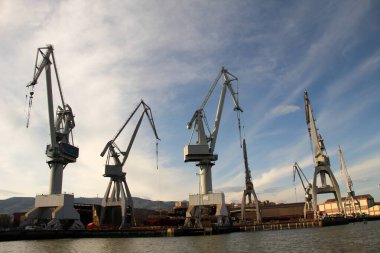 Turnalar Bilbao nehrinde