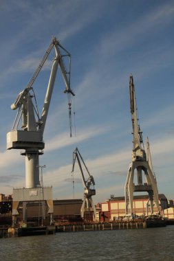 Turnalar Bilbao nehrinde