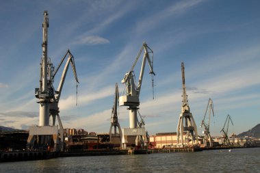 Turnalar Bilbao nehrinde