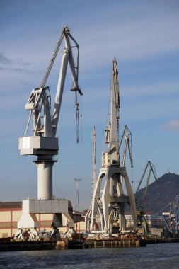 Turnalar Bilbao nehrinde