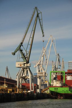 Turnalar Bilbao nehrinde