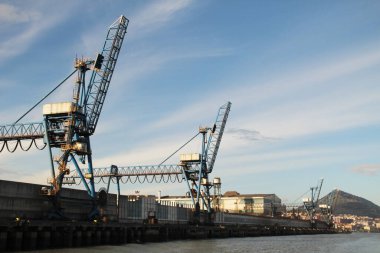 Turnalar Bilbao nehrinde