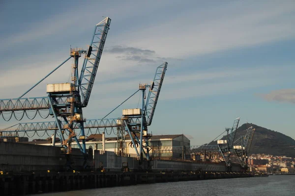 Turnalar Bilbao nehrinde