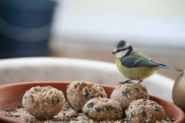 Nuremberg şehrindeki şehir manzarası