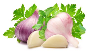 Sarımsak ampuller maydanoz, yolları ile