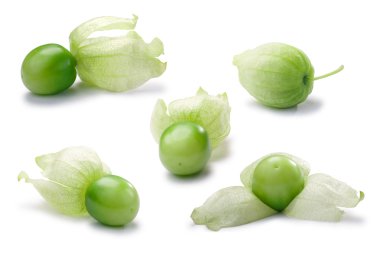 Tomatillos set (Physalis philadelphica), yolları