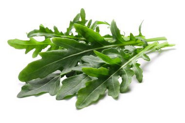 Kırpma yolları roka (Eruca vesicaria),