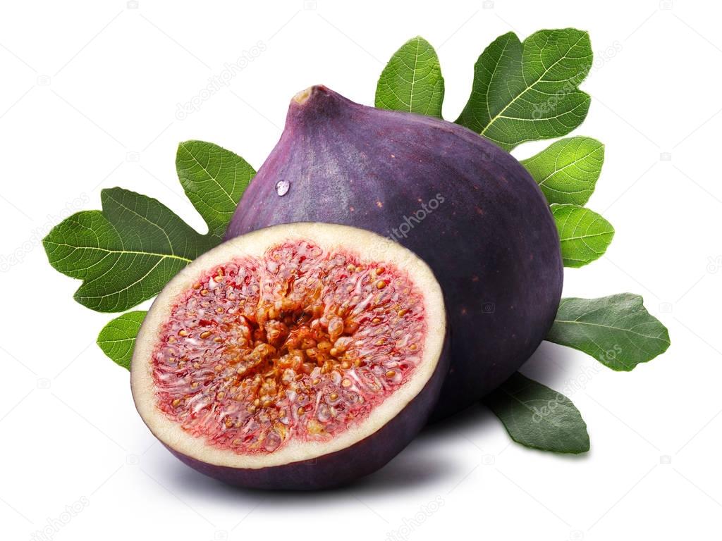 Fig fruits (Ficus carica), paths