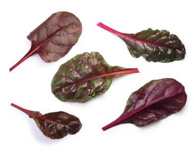 Pazı (silverbeet, mangold) yaprakları, üstten görünüm, yolları