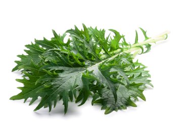 Mizuna yapraklı salata (Japon hardal), yolları