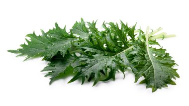 Mizuna yapraklı salata (Japon hardal), yolları
