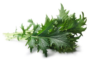 Mizuna yapraklı salata (Japon hardal), yolları
