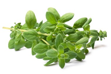 Mercanköşk (Origanum majorana), yolları
