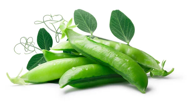 Pea pods (Pisum Sativum), paths — Stock Photo, Image