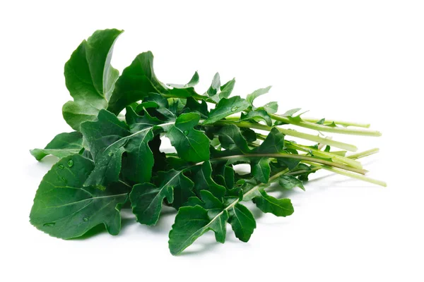 Arugula (Eruca sativa), percorsi di ritaglio — Foto Stock