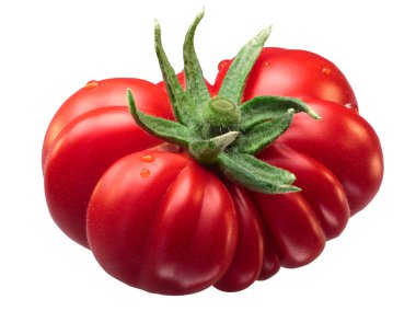 Costoluto Fiorentino heirloom domates, yol