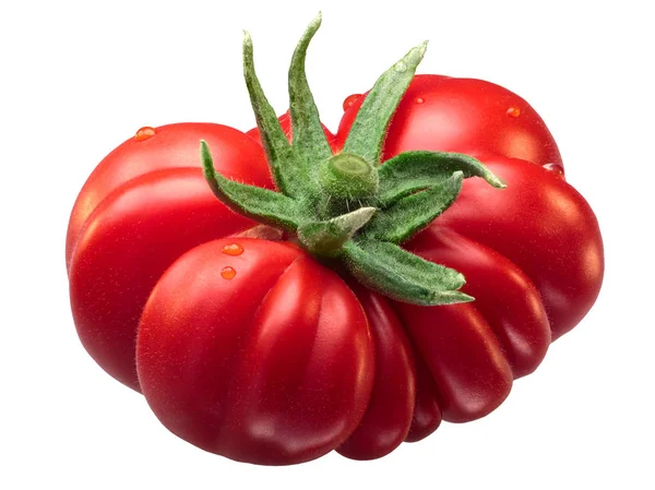 Costoluto Fiorentino herencia tomate, camino — Foto de Stock