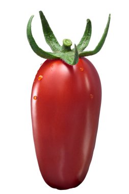 San Marzano Yapıştır domates, yolları