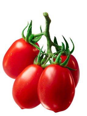 Küme Erik Roma domates, yol