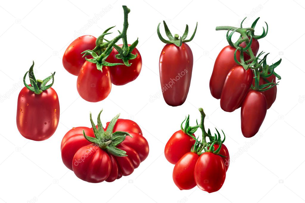 Italian tomatoes: Marzano, Roma, Costoluto, paths