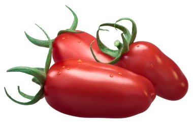 San Marzano Yapıştır domates, yolları