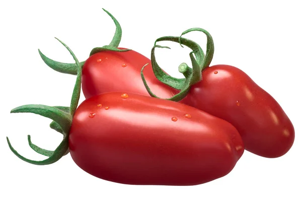 San Marzano Yapıştır domates, yolları
