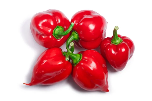 Купка перцю Хабанеро (Capsicum cheinense), вид зверху, шляхи — стокове фото