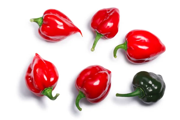 Habanero peppers (Capsicum chinense), top view, paths — Stock Photo, Image