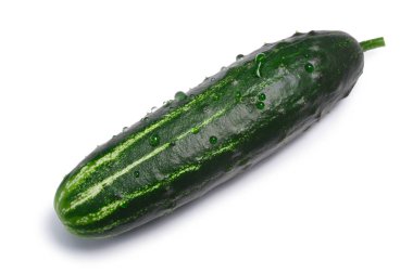 Salatalık, üstten görünüm, yolları