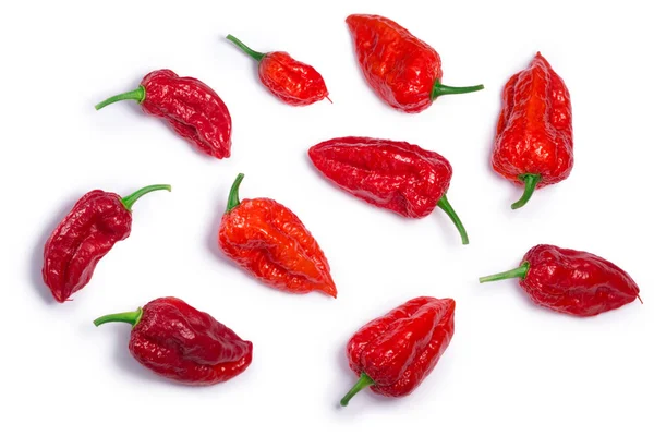 Bhut Jolika ghost peppers, paths, top view — Stok Foto