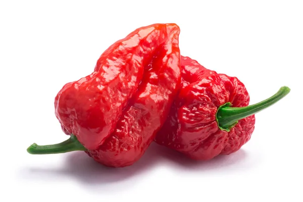 Bhut Jolika ghost peppers, vägar — Stockfoto