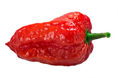 Bhut Jolokia hayalet biber, yolları