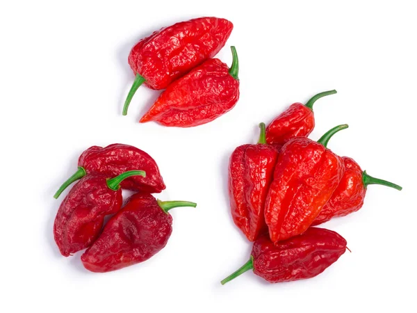 Bhut Jolokia-ghost pepper stapels, paden, bovenaanzicht — Stockfoto