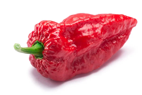 Bhut Jolokia fantasma pimienta, caminos — Foto de Stock