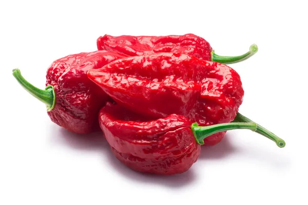 Bhut Jolokia ghost peppers, paths — Stock Photo, Image