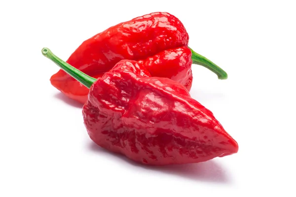 Bhut Jolokia ghost peppers, paths — Stock Photo, Image