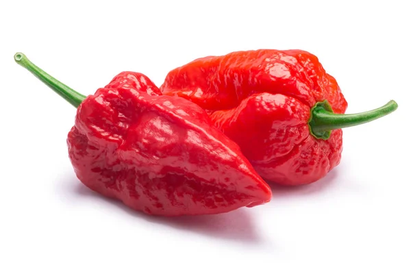 Bhut Jolokia pimientos fantasma, caminos — Foto de Stock