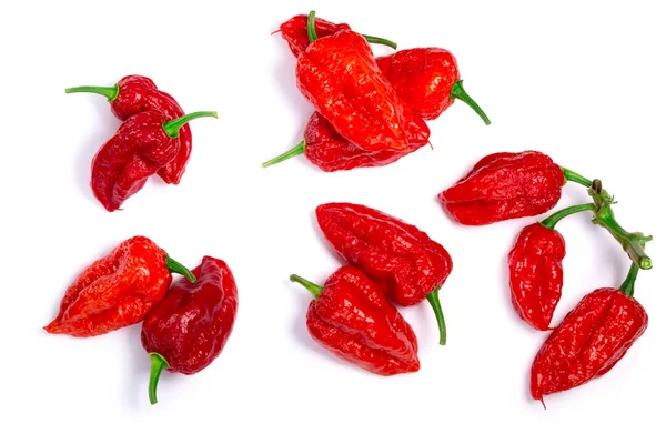 Bhut Jolokia ghost peppers, paths, top view — Stok Foto