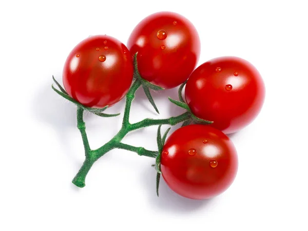 Tomates cereja em videira, caminhos — Fotografia de Stock